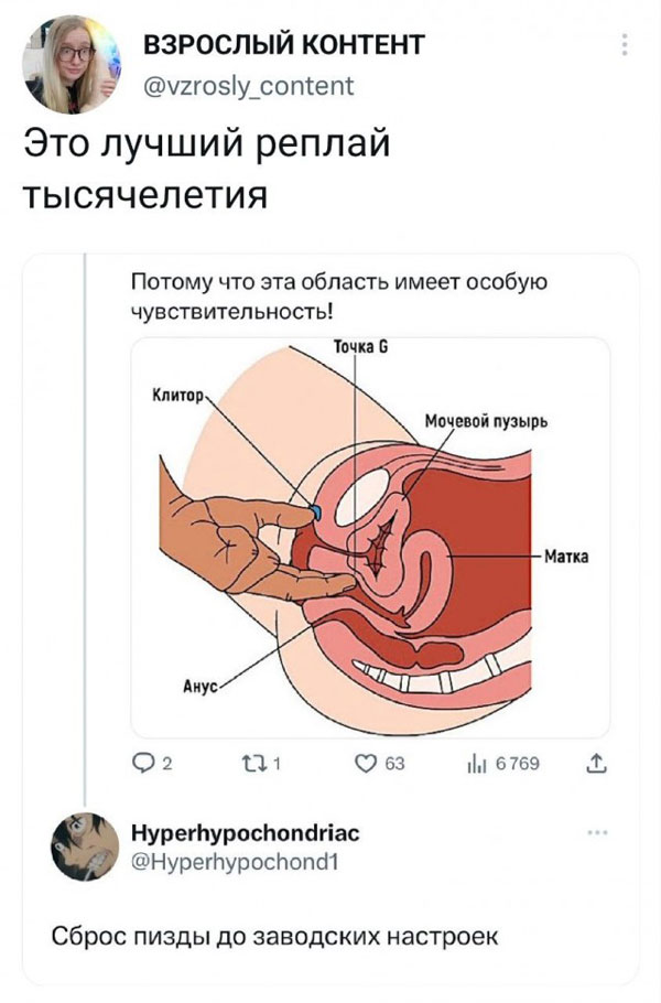 Свеженькие бояны