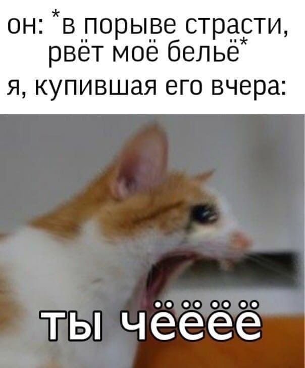 Всего понемногу. От 05.10.23