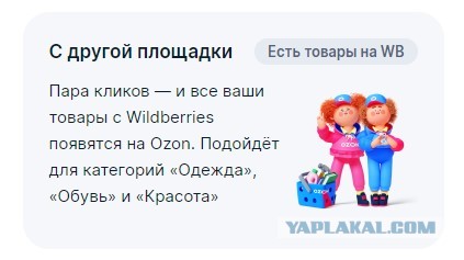 Китайские продавцы осваивают Ozon. Российские селлеры этому не рады