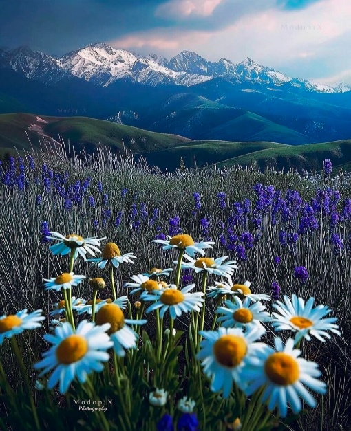 ФотоВинегрет
