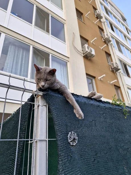 ФотоВинегрет