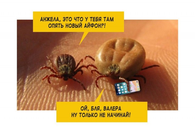 https://s00.yaplakal.com/pics/pics_original/9/7/0/19424079.jpg