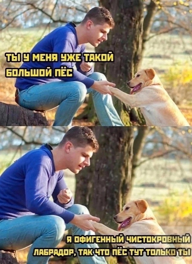 Завалялось тут случайно немного забавных картинок