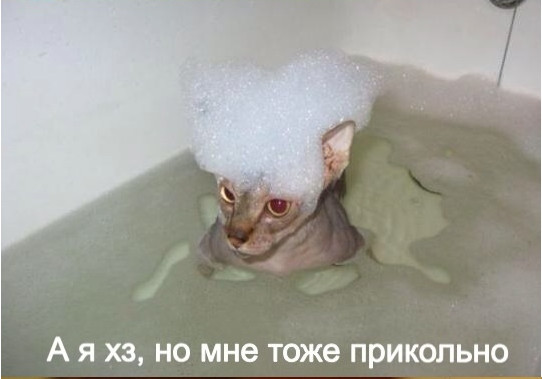 Хвастунишки