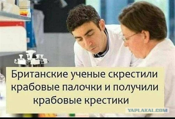 Почему историки так ненавидят Новую Хронологию