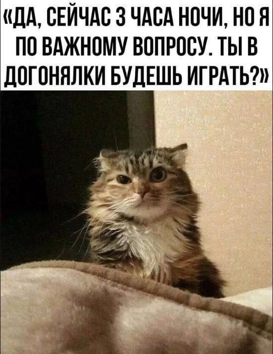 Так себе картинки 16.02.25