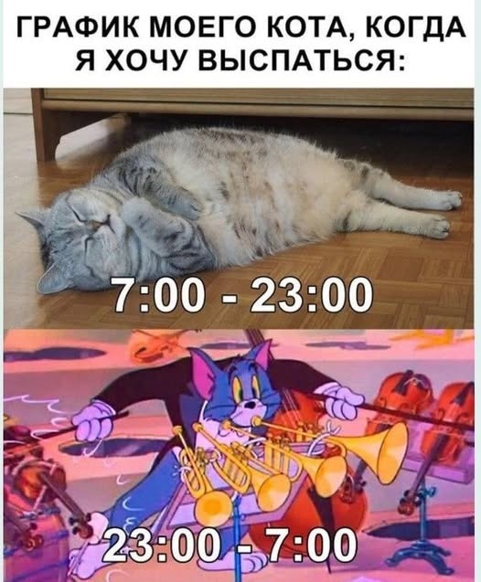 К котовторнику: подборка картинок-баянов с котиками и про котиков. Выпуск 2.