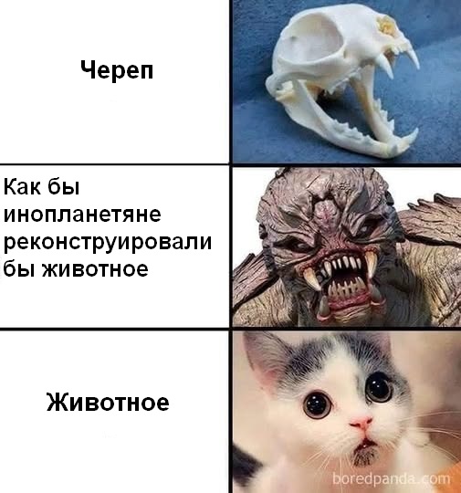 Завалялось тут случайно немного забавных картинок