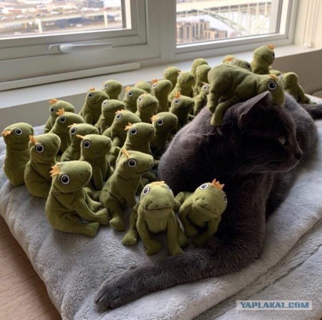 Какая прелесть