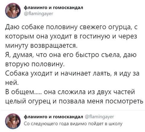 Моя любимая теория заговора