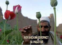 Делегация талибов  на ПМЭФ договорилась ввезти 1000 ценных специалистов в российские регионы