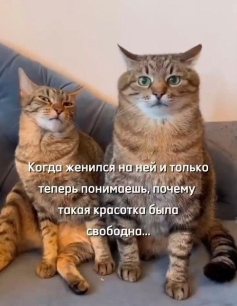 Отсутствие морально этических норм Vol.50