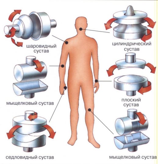 Рокк ебол и всё такое