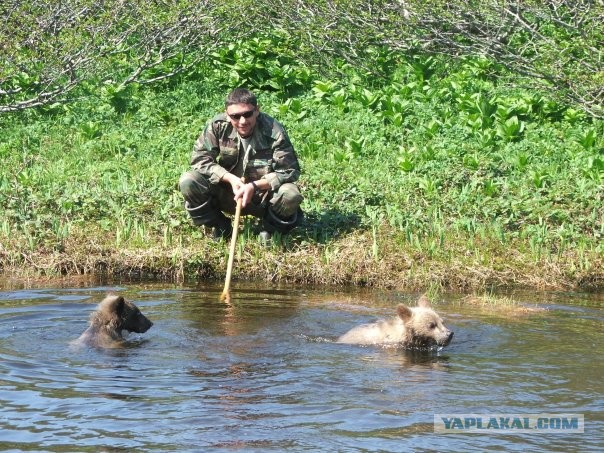 Ну понял я, понял, жадины