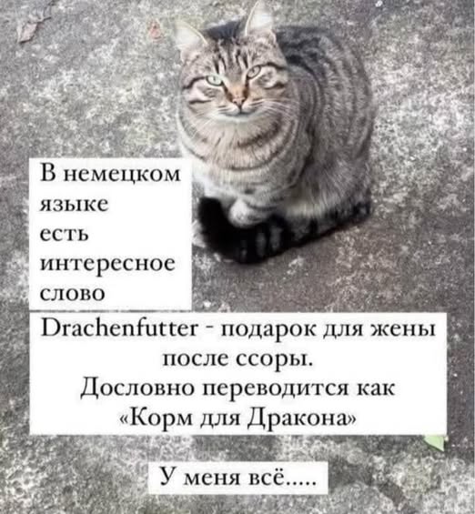 Пятничные картинки