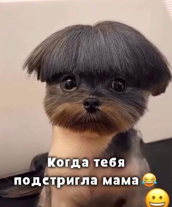 Маленькая пятница 10.12