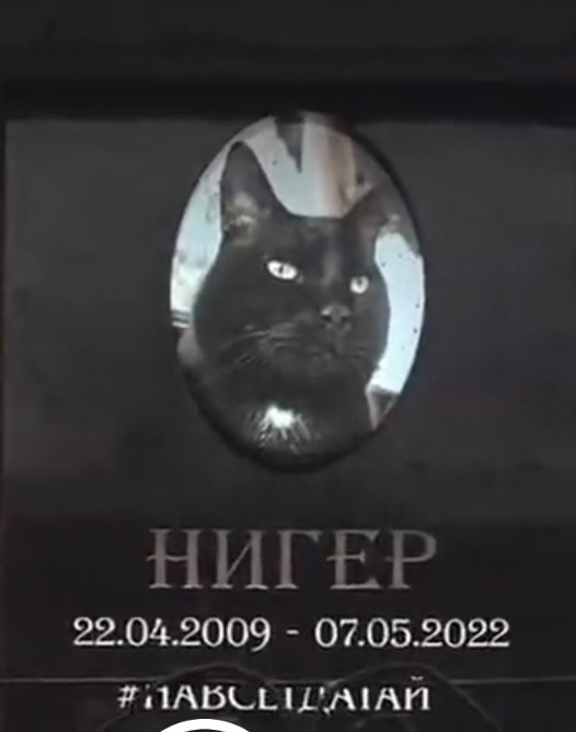 Это Питер.