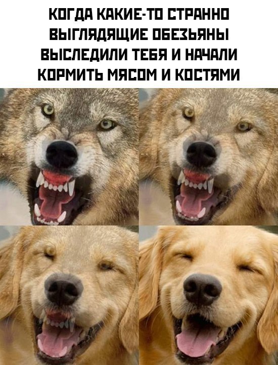 Картинки для деградации 112 (разной степени свежести)