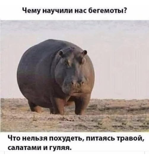 Веселые картинки в понедельник (30.03)