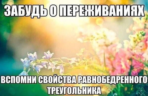 Картинки для деградации 173 (разной степени свежести)