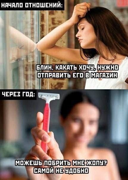 Картинки. Баяны и аккордеоны