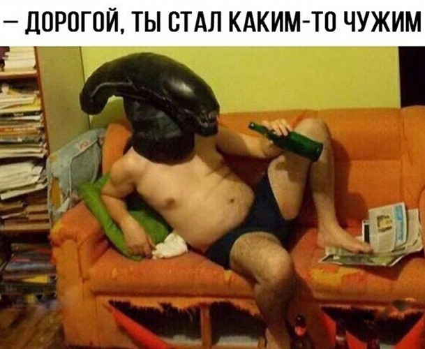 Аккордеоны