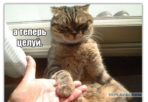 Не про олимпиаду