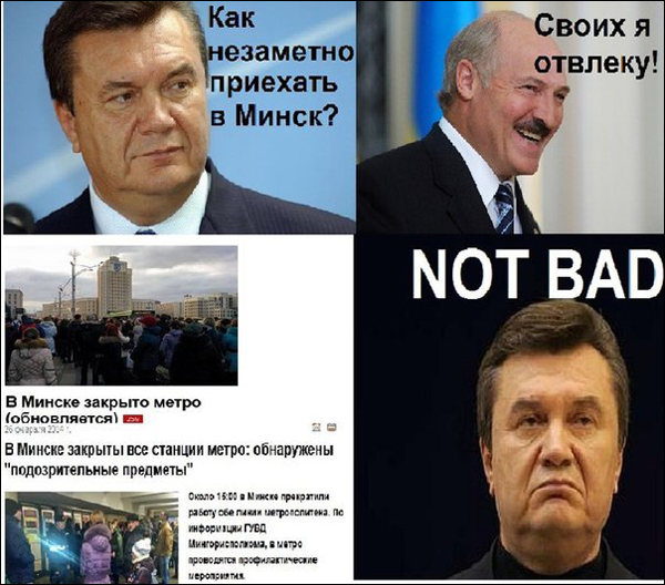 Встреча Александра Лукашенко с Дарьей Домрачевой