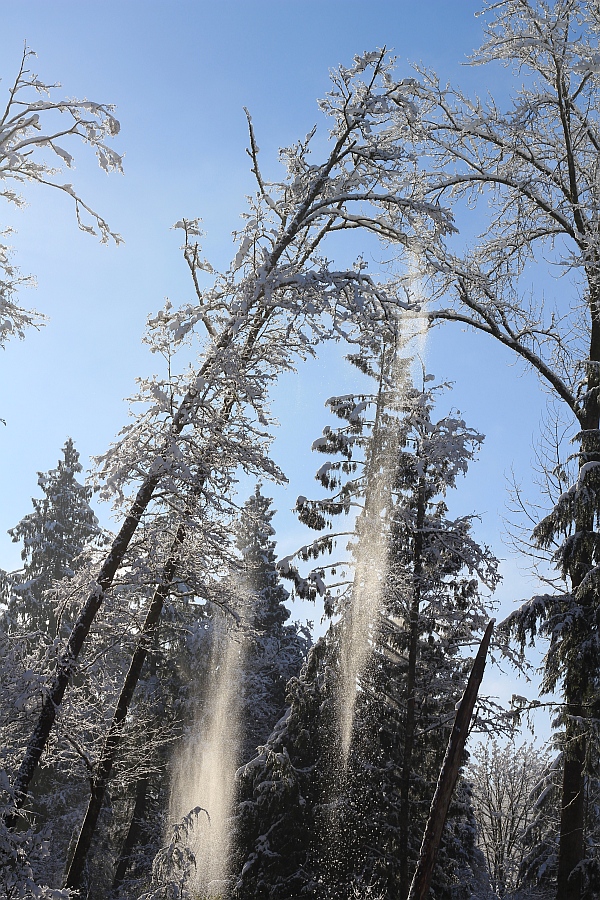 Деревенская Америка