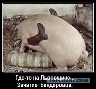 Сатиры псто
