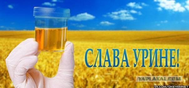 Стрелков просит помощи! ТВОЕЙ
