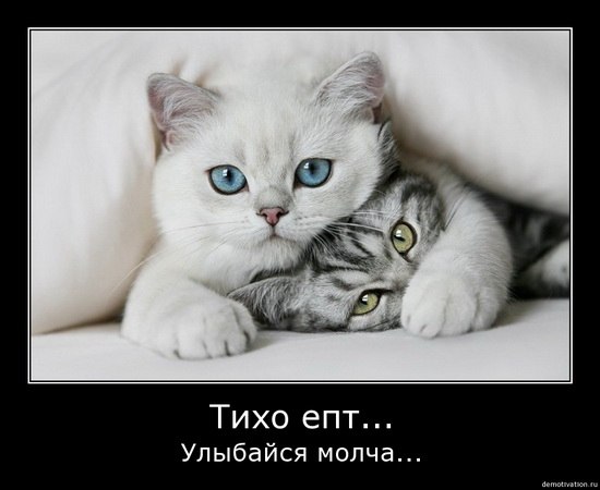 Когда вы плюсуeтe тему в платине