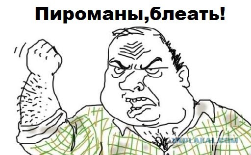 В продолжении темы певички Русланы и возгораний.