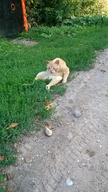 Чуть мобилу не отжал...