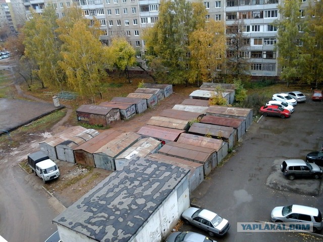 Сибирь матушка! а что у вас за окном?