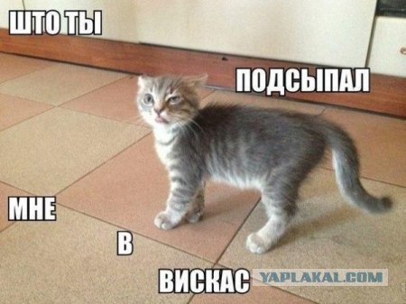 Вот это меня торкнуло