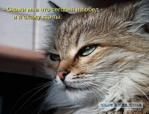 Смешные картинки