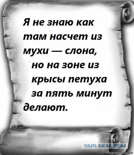 Мой коллега крыса