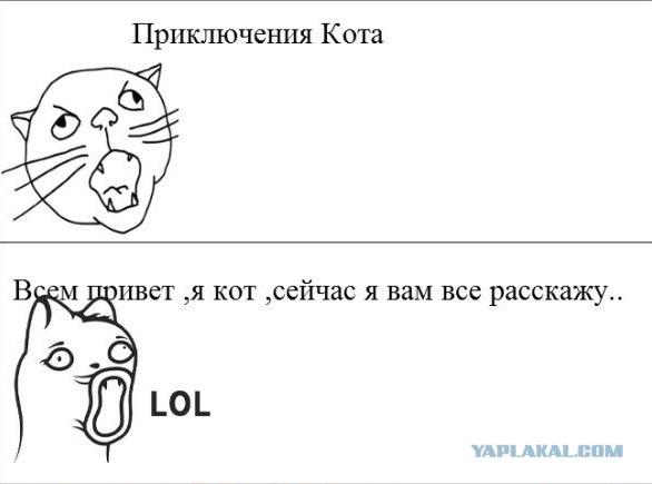 Вот кто хозяин жизни!