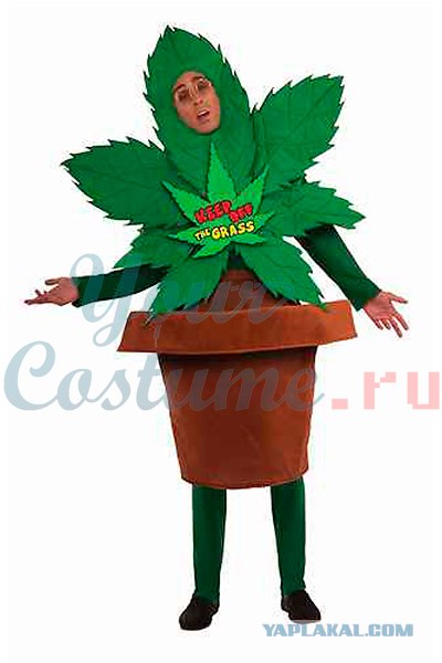 Начальник спецназа пришел на учения без трусов