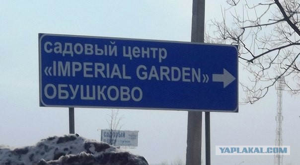 Нахабинский трешак