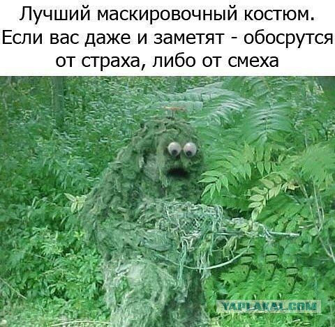 Плюшкиным посвящается