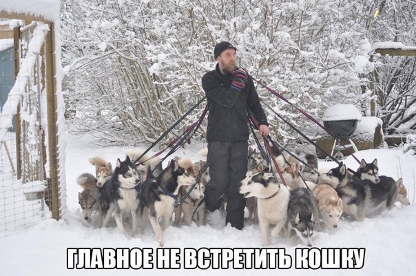 На среду 40 картинок, текстов, смс