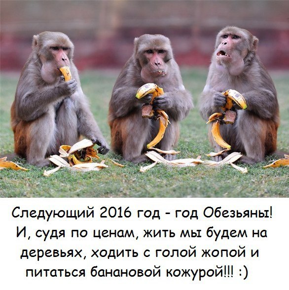 Депрессивный понедельник