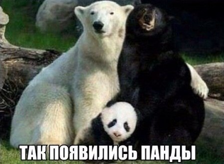 Забавные картинки из Сети