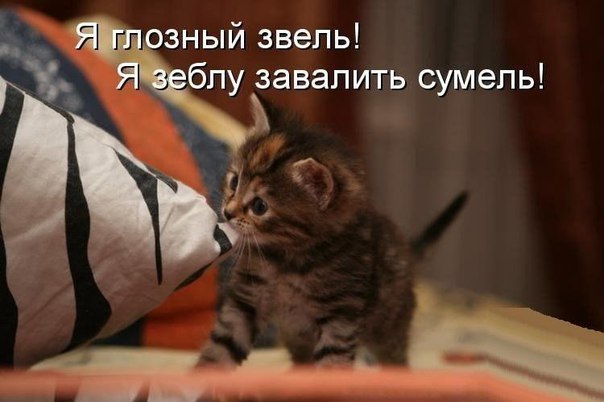 Картинки и демотиваторы