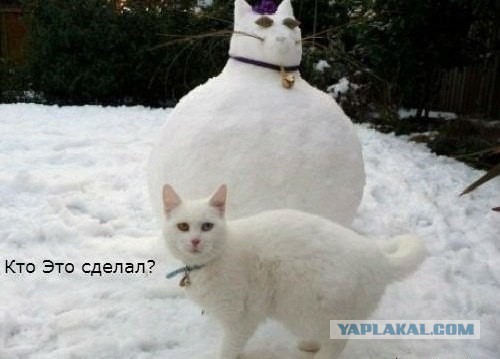 Лучший снеговичок из виденных