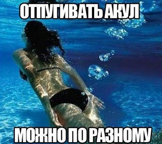 Всяко - разно...картинки