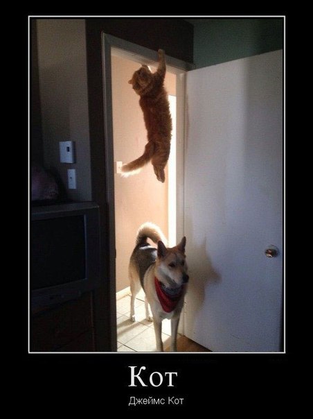 Подборка картинок