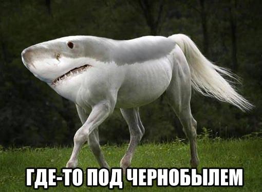 Злые шутки или минутка сарказма на ЯП-е, 16+